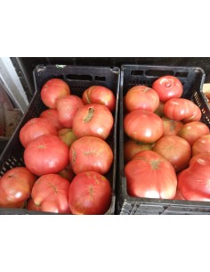 Tomate rosa de Huesca 2