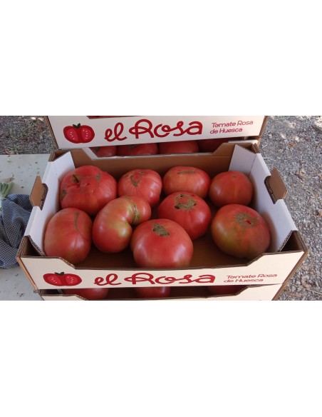 Tomate rosa de Huesca